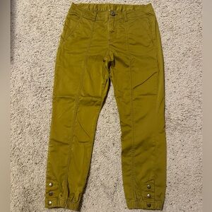 Cabi “The Tracker” Pants